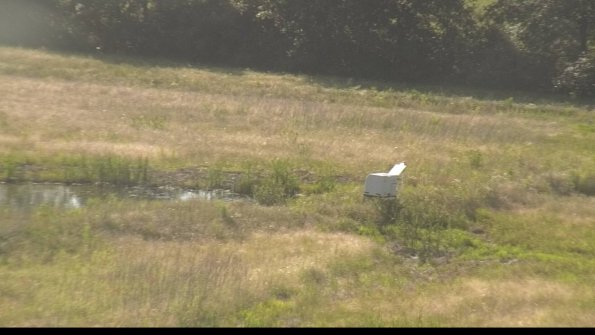 capture-13-22-06-18_18-30-45-33