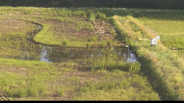 capture-14-22-06-18_08-07-18-75