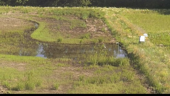 capture-14-22-06-18_09-09-41-35