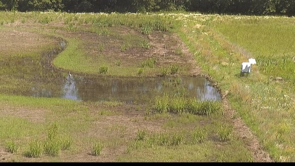 capture-14-22-06-18_11-14-29-44