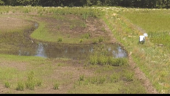 capture-14-22-06-18_12-16-53-40