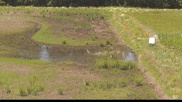 capture-14-22-06-18_14-21-39-49