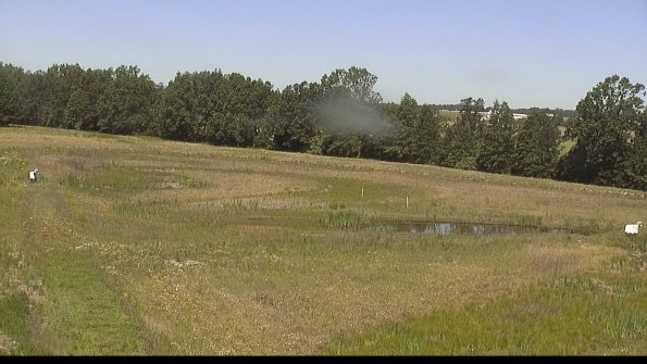 capture-4-22-06-18_11-13-46-43