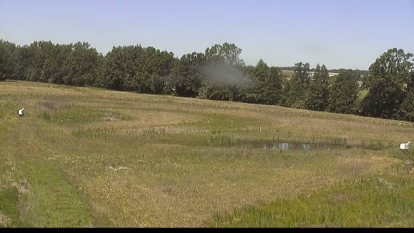 capture-4-22-06-18_12-16-11-22