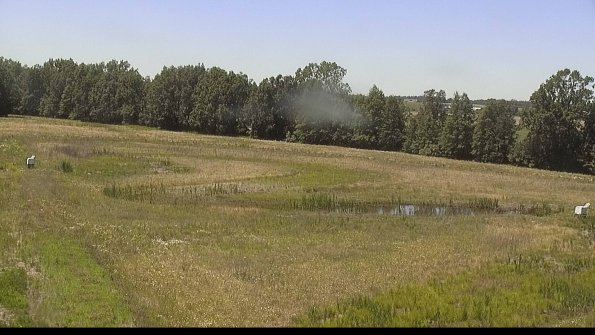 capture-4-22-06-18_14-20-57-31