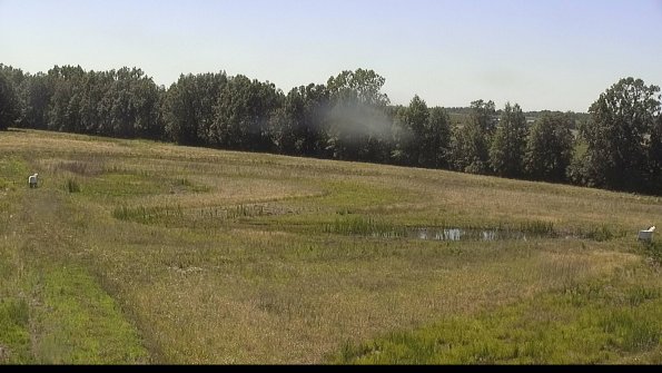 capture-4-22-06-18_16-25-44-47