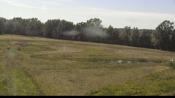 capture-4-22-06-18_17-28-07-42