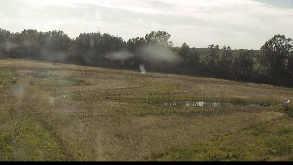 capture-4-22-06-18_18-30-31-35