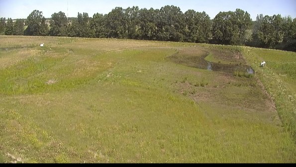 capture-6-22-06-18_11-14-15-39