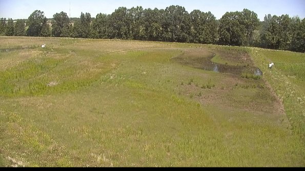 capture-6-22-06-18_12-16-39-35