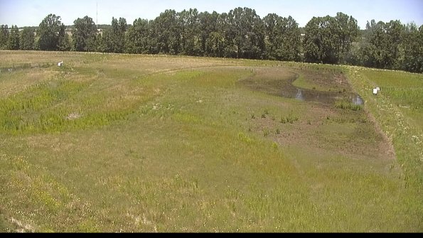 capture-6-22-06-18_13-19-02-58