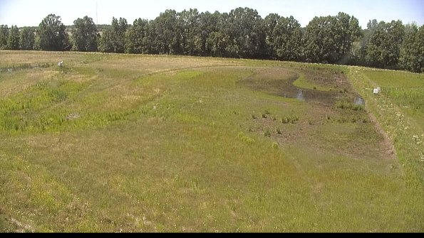 capture-6-22-06-18_15-23-49-37