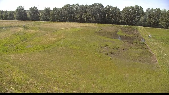 capture-6-22-06-18_16-26-12-63