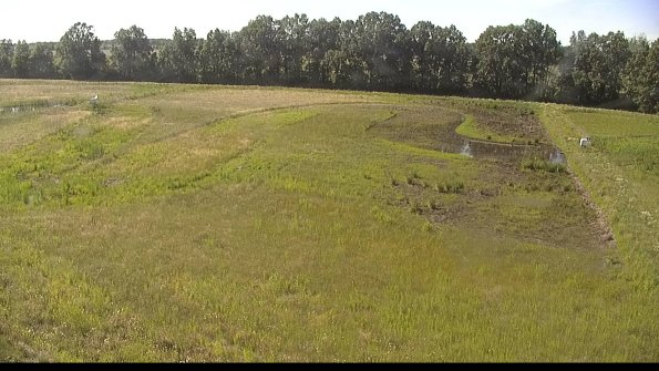 capture-6-22-06-18_17-28-36-39