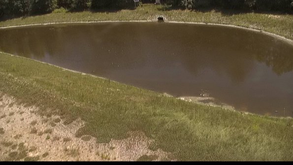 capture-8-22-06-18_13-17-50-41