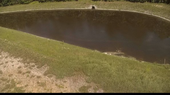 capture-8-22-06-18_16-25-00-35