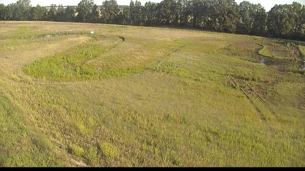 capture-1-22-06-19_08-03-24-81