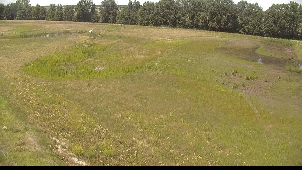 capture-1-22-06-19_14-17-47-94