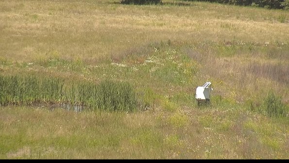 capture-12-22-06-19_12-11-20-39