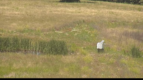 capture-12-22-06-19_13-13-44-45