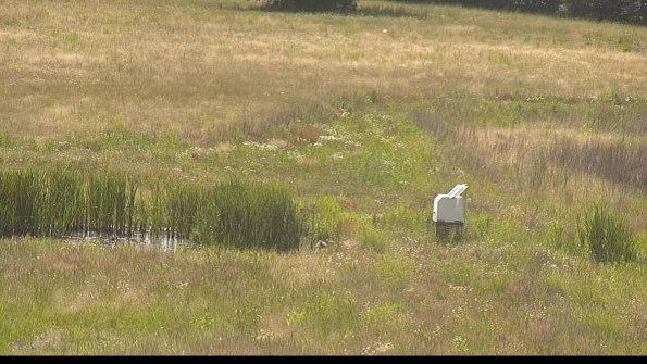 capture-12-22-06-19_16-20-56-46