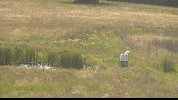 capture-12-22-06-19_17-23-19-94