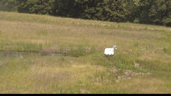 capture-13-22-06-19_11-09-24-35