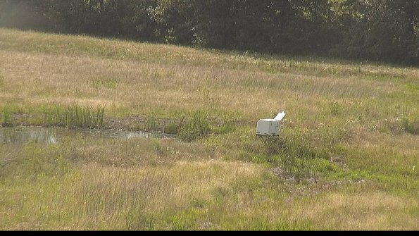 capture-13-22-06-19_17-23-46-84