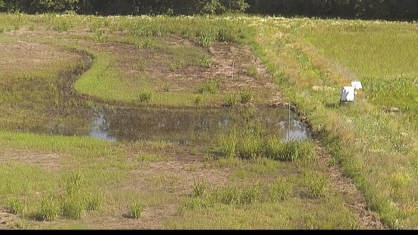 capture-14-22-06-19_10-07-29-56