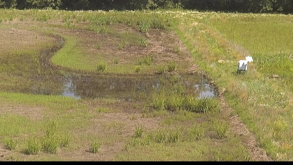 capture-14-22-06-19_11-09-53-42