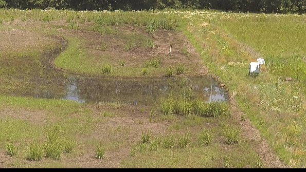 capture-14-22-06-19_12-12-17-44