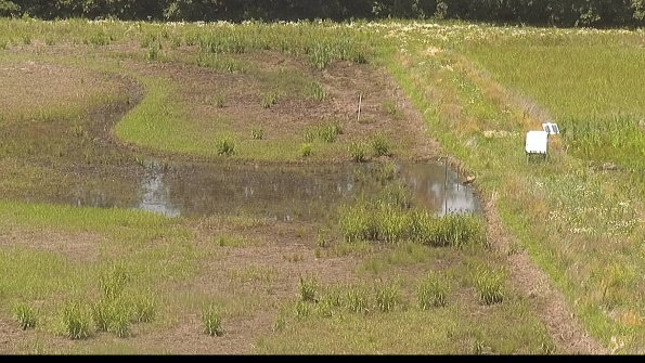 capture-14-22-06-19_14-17-05-83