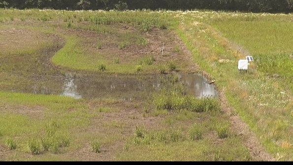 capture-14-22-06-19_15-19-29-82