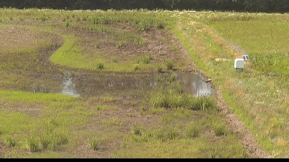 capture-14-22-06-19_16-21-52-38