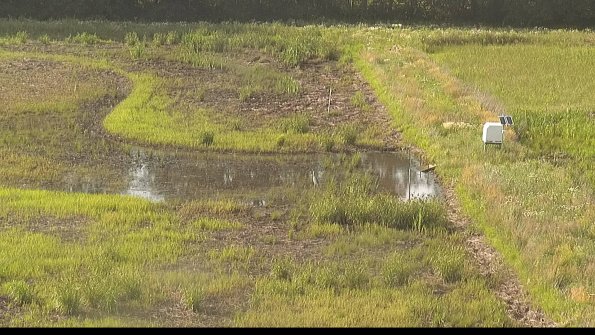 capture-14-22-06-19_18-26-38-39