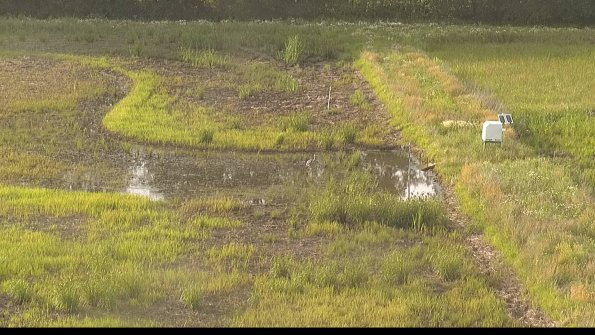 capture-14-22-06-19_19-29-02-41