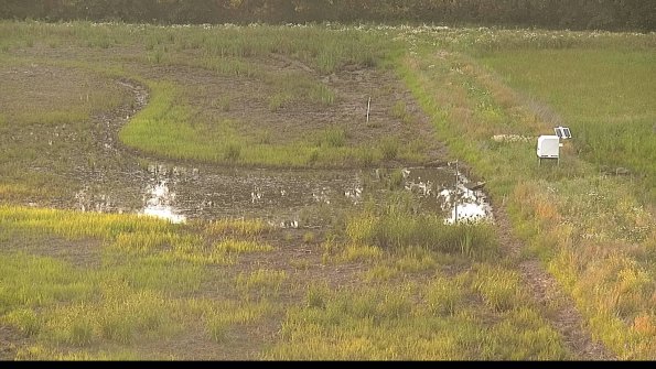 capture-14-22-06-19_20-31-26-37