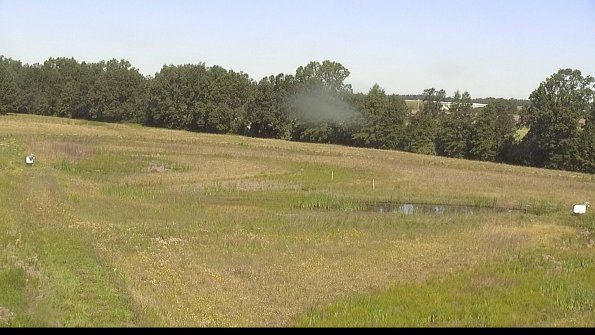 capture-4-22-06-19_10-06-47-38