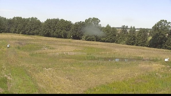 capture-4-22-06-19_12-11-34-47