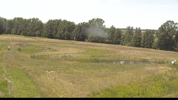 capture-4-22-06-19_14-16-22-65