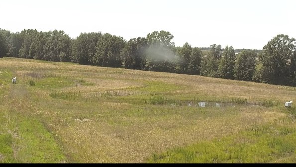 capture-4-22-06-19_15-18-46-51