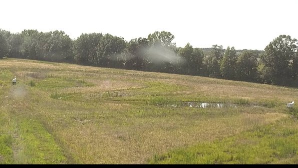 capture-4-22-06-19_17-23-34-16