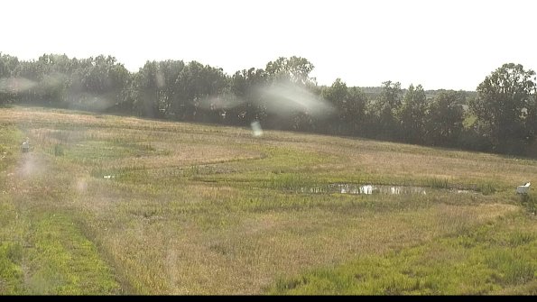 capture-4-22-06-19_18-25-56-45