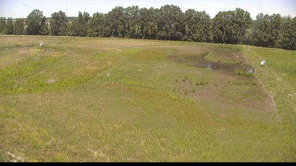 capture-6-22-06-19_13-14-27-42