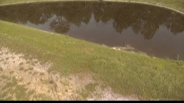 capture-8-22-06-19_17-22-49-31