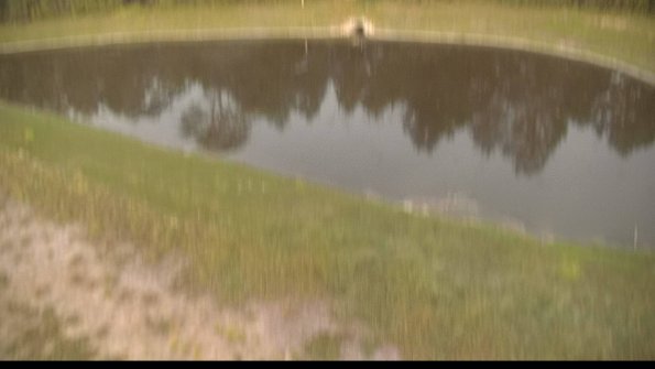 capture-8-22-06-19_20-29-59-45