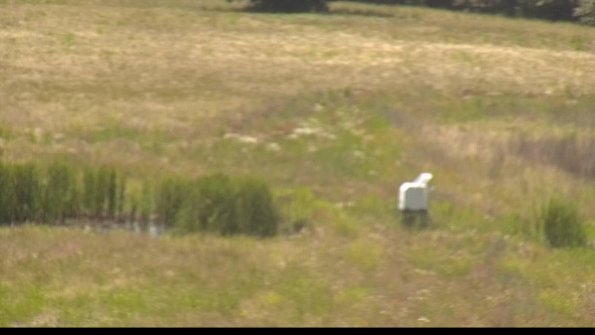 capture-12-22-06-21_15-08-30-35