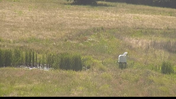 capture-12-22-06-21_17-13-16-42