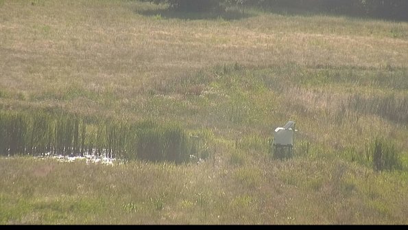 capture-12-22-06-21_18-15-40-33