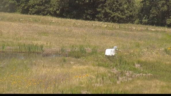 capture-13-22-06-21_12-01-48-42